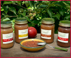Apple Sauces