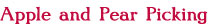 Apple and Pear Picking in WNY